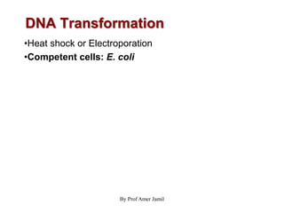 •Heat shock or Electroporation
•Competent cells: E. coli
By Prof Amer Jamil
DNA Transformation
 