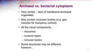 Archaeal vs. bacterial cytoplasm
• Very similar – lack of membrane-enclosed
organelles
• May contain inclusion bodies (e.g. gas
vesicles for buoyancy control)
• All the usual components
– ribosomes
– nucleoid region
– inclusion bodies
• Some structures may be different,
however… 13
 