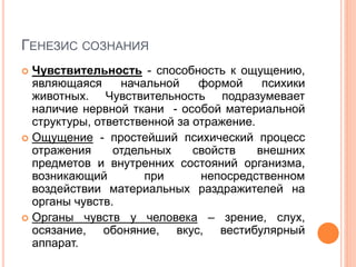 ГЕНЕЗИС СОЗНАНИЯ
 Чувствительность - способность к ощущению,
являющаяся начальной формой психики
животных. Чувствительность подразумевает
наличие нервной ткани - особой материальной
структуры, ответственной за отражение.
 Ощущение - простейший психический процесс
отражения отдельных свойств внешних
предметов и внутренних состояний организма,
возникающий при непосредственном
воздействии материальных раздражителей на
органы чувств.
 Органы чувств у человека – зрение, слух,
осязание, обоняние, вкус, вестибулярный
аппарат.
 