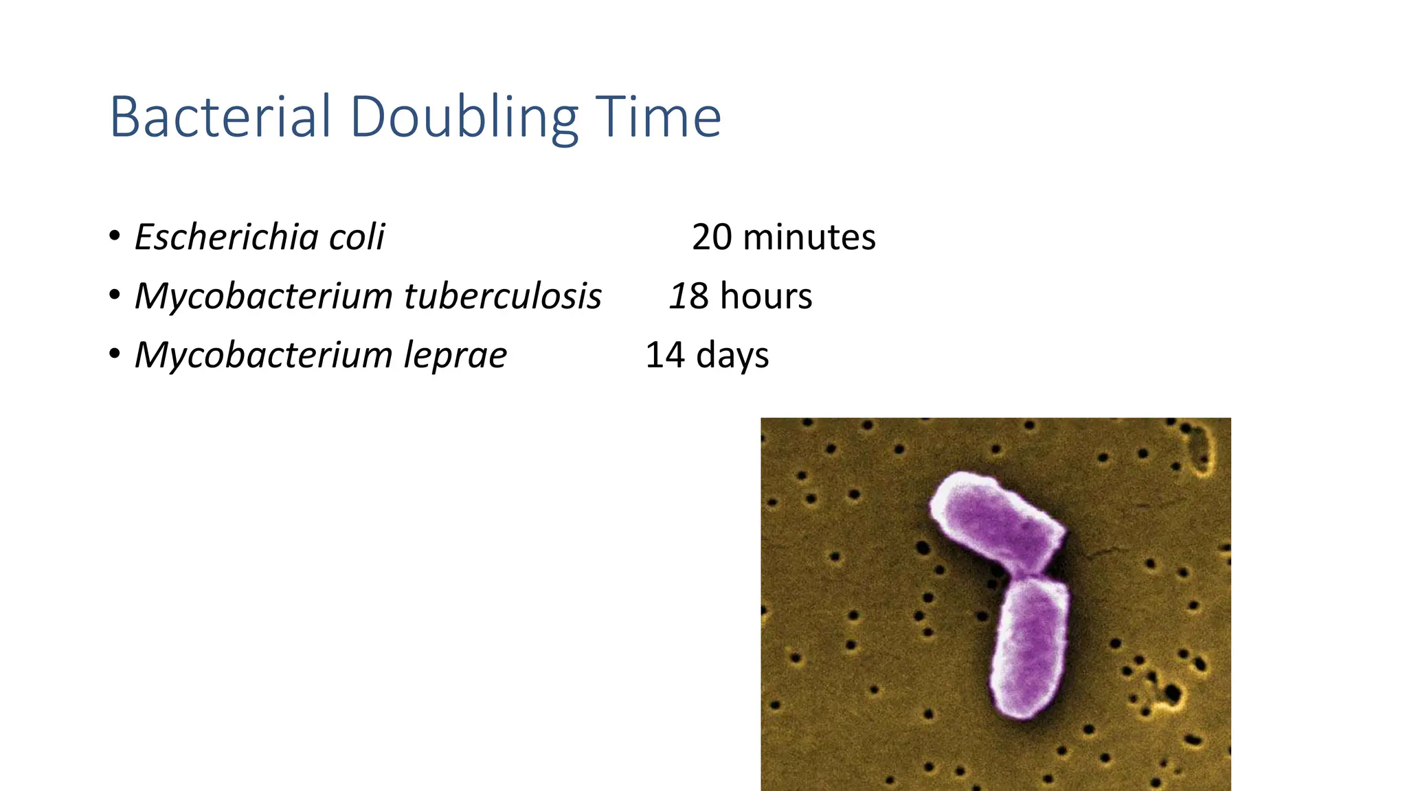 Bacterial growth curve - Characteristics | PPT