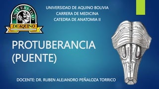 PROTUBERANCIA
(PUENTE)
DOCENTE: DR. RUBEN ALEJANDRO PEÑALOZA TORRICO
UNIVERSIDAD DE AQUINO BOLIVIA
CARRERA DE MEDICINA
CATEDRA DE ANATOMIA II
 