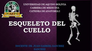 ESQUELETO DEL
CUELLO
DOCENTE: DR. JUAN GABRIEL SANCHEZ
SANCHEZ
UNIVERSIDAD DE AQUINO BOLIVIA
CARRERA DE MEDICINA
CATEDRA DE ANATOMIA I
 