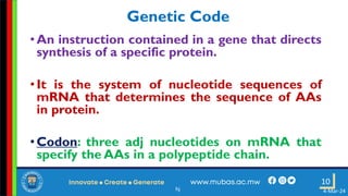 4. Translation in Prokaryotes and Eukaryotes.pdf