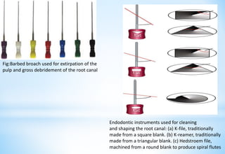 *
Fig:Barbed broach used for extirpation of the
pulp and gross debridement of the root canal
Endodontic instruments used for cleaning
and shaping the root canal: (a) K-file, traditionally
made from a square blank. (b) K-reamer, traditionally
made from a triangular blank. (c) Hedstroem file,
machined from a round blank to produce spiral flutes
 