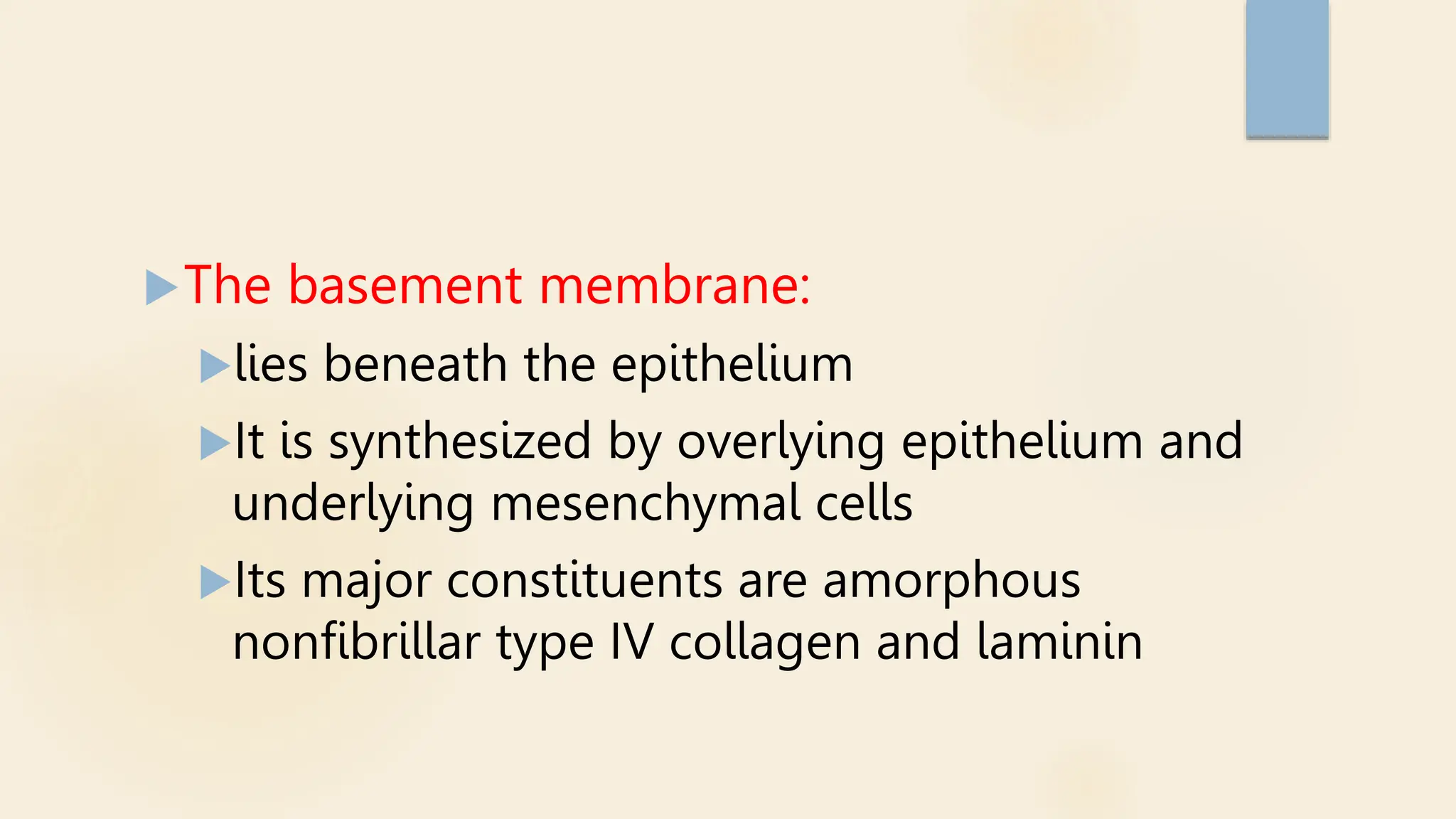 The basement membrane:
lies beneath the epithelium
It is synthesized by overlying epithelium and
underlying mesenchymal cells
Its major constituents are amorphous
nonfibrillar type IV collagen and laminin
 