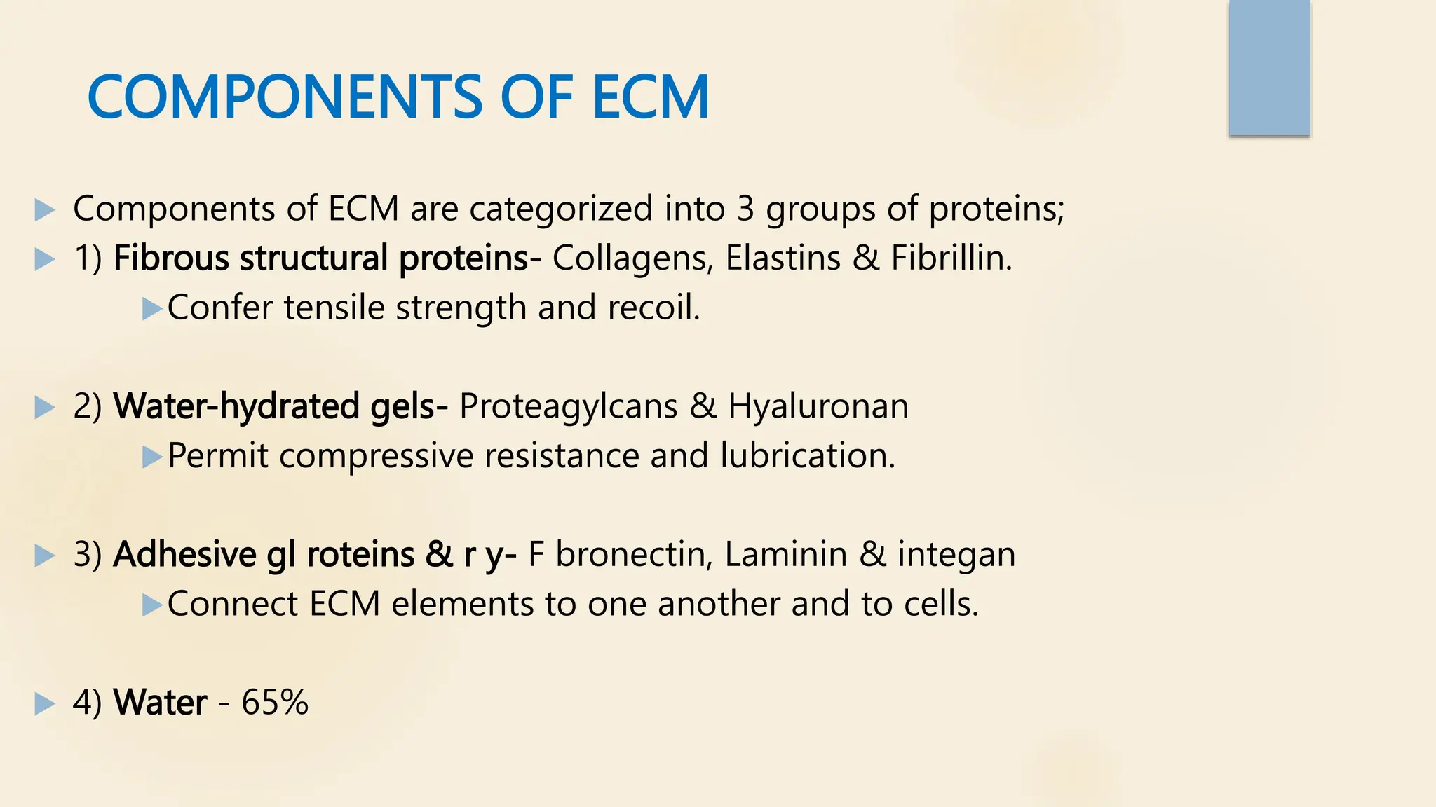 COMPONENTS OF ECM
 Components of ECM are categorized into 3 groups of proteins;
 1) Fibrous structural proteins- Collagens, Elastins & Fibrillin.
Confer tensile strength and recoil.
 2) Water-hydrated gels- Proteagylcans & Hyaluronan
Permit compressive resistance and lubrication.
 3) Adhesive gl roteins & r y- F bronectin, Laminin & integan
Connect ECM elements to one another and to cells.
 4) Water - 65%
 