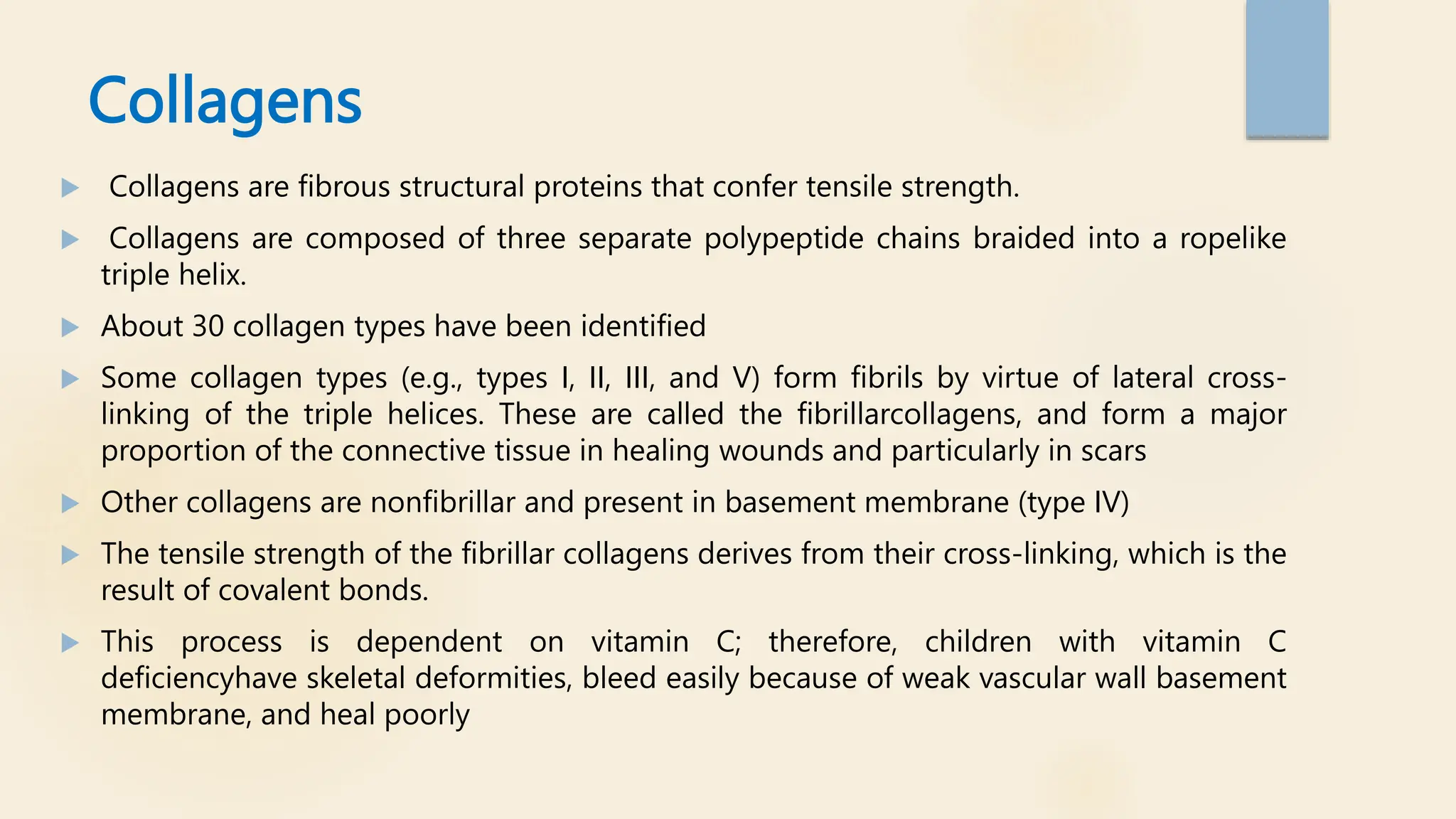 Collagens
 Collagens are fibrous structural proteins that confer tensile strength.
 Collagens are composed of three separate polypeptide chains braided into a ropelike
triple helix.
 About 30 collagen types have been identified
 Some collagen types (e.g., types I, II, III, and V) form fibrils by virtue of lateral cross-
linking of the triple helices. These are called the fibrillarcollagens, and form a major
proportion of the connective tissue in healing wounds and particularly in scars
 Other collagens are nonfibrillar and present in basement membrane (type IV)
 The tensile strength of the fibrillar collagens derives from their cross-linking, which is the
result of covalent bonds.
 This process is dependent on vitamin C; therefore, children with vitamin C
deficiencyhave skeletal deformities, bleed easily because of weak vascular wall basement
membrane, and heal poorly
 