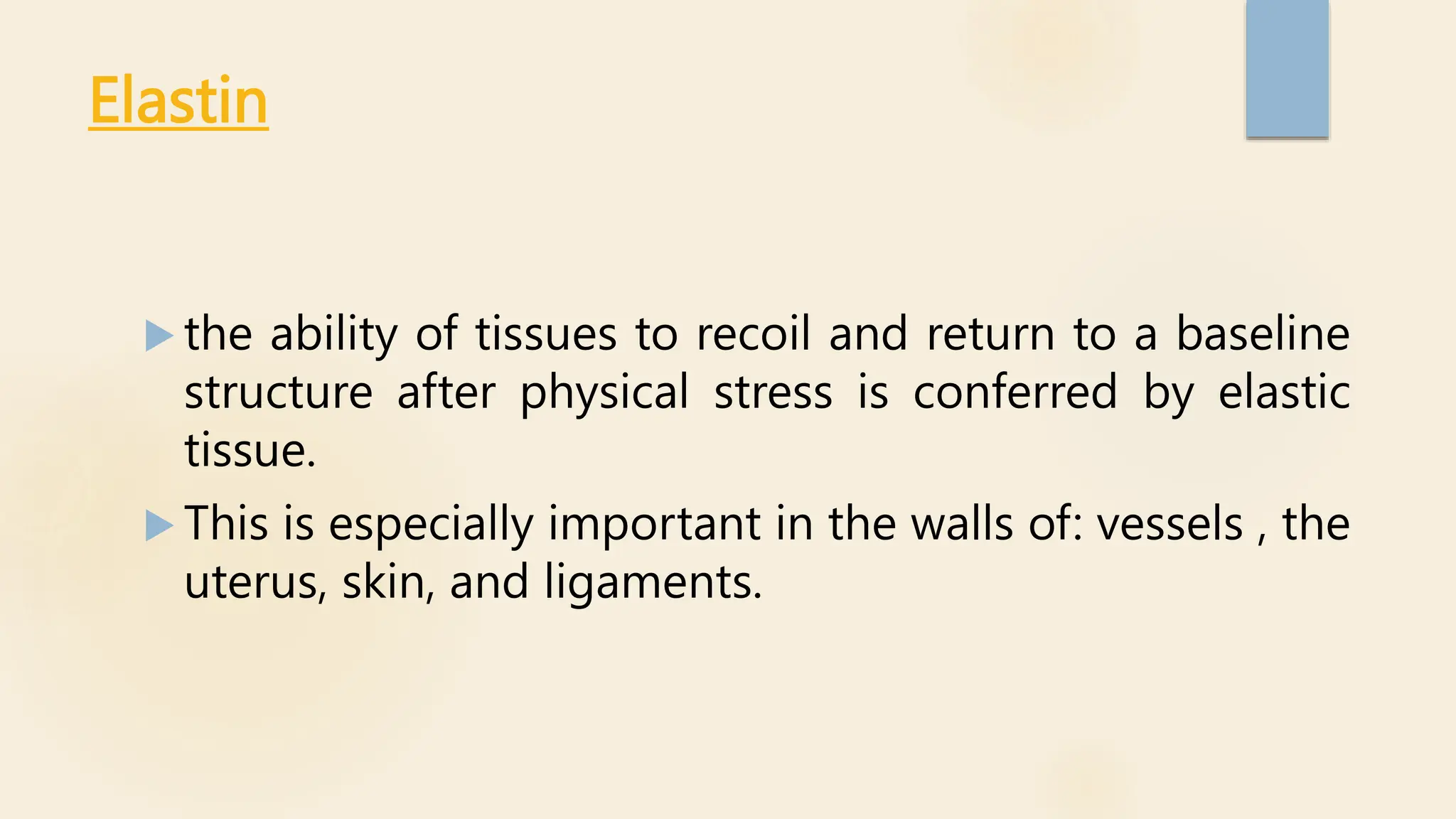 Elastin
 the ability of tissues to recoil and return to a baseline
structure after physical stress is conferred by elastic
tissue.
 This is especially important in the walls of: vessels , the
uterus, skin, and ligaments.
 