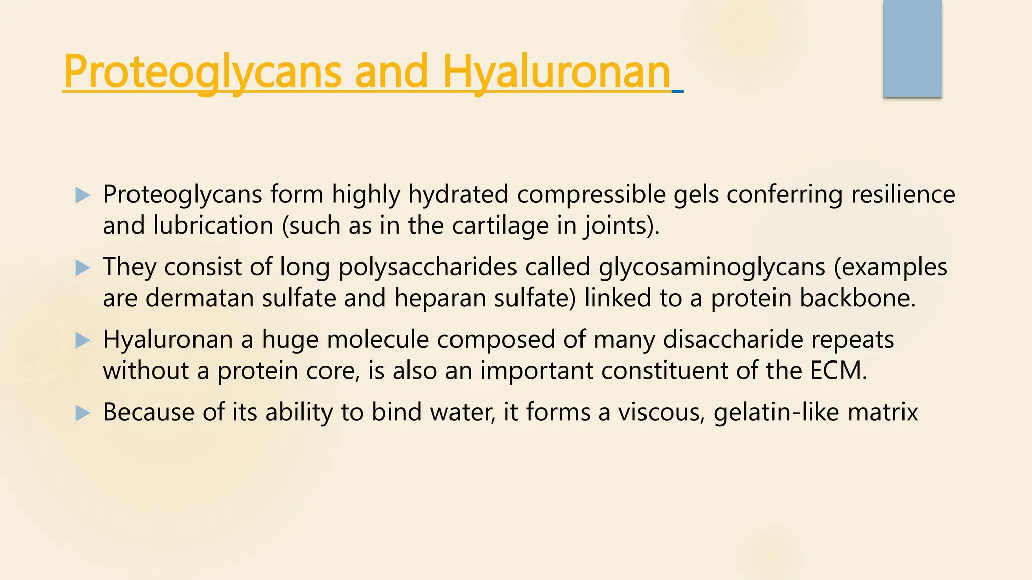 Proteoglycans and Hyaluronan
 Proteoglycans form highly hydrated compressible gels conferring resilience
and lubrication (such as in the cartilage in joints).
 They consist of long polysaccharides called glycosaminoglycans (examples
are dermatan sulfate and heparan sulfate) linked to a protein backbone.
 Hyaluronan a huge molecule composed of many disaccharide repeats
without a protein core, is also an important constituent of the ECM.
 Because of its ability to bind water, it forms a viscous, gelatin-like matrix
 