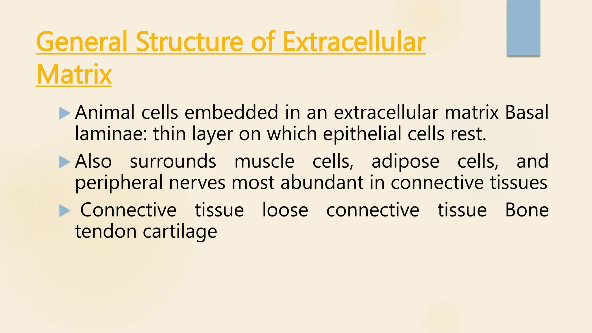 EXTRACELLULAR MATRIX AND ITS COMPONENTS | PPTX | Biological Sciences ...