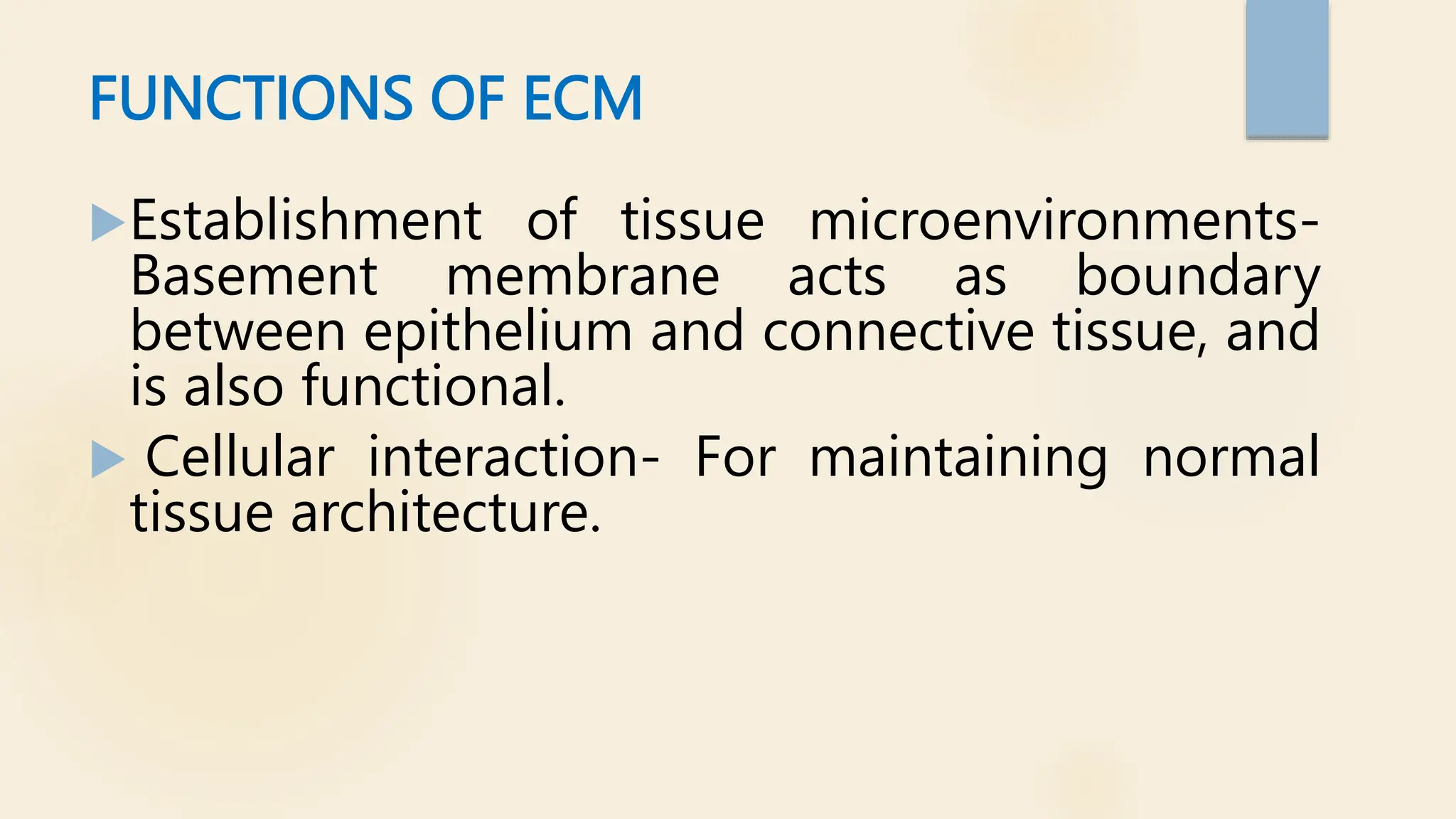 FUNCTIONS OF ECM
Establishment of tissue microenvironments-
Basement membrane acts as boundary
between epithelium and connective tissue, and
is also functional.
 Cellular interaction- For maintaining normal
tissue architecture.
 