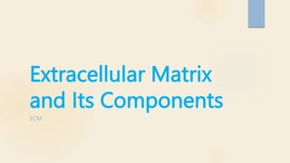 Extracellular Matrix
and Its Components
ECM
 
