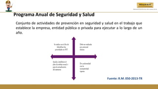 Fuente: R.M.050-2013-TR
Programa Anual de Seguridad y Salud
Conjunto de actividades de prevención en seguridad y salud en el trabajo que
establece la empresa, entidad pública o privada para ejecutar a lo largo de un
año.
 