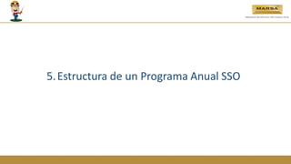 5.Estructura de un Programa Anual SSO
 
