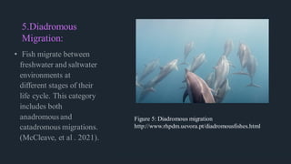 4.Migration_in_fishes.pdf Types of migration, factors influencing fish ...