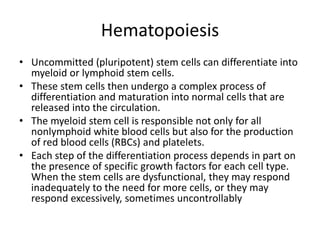 Hematopoiesis
• Uncommitted (pluripotent) stem cells can differentiate into
myeloid or lymphoid stem cells.
• These stem cells then undergo a complex process of
differentiation and maturation into normal cells that are
released into the circulation.
• The myeloid stem cell is responsible not only for all
nonlymphoid white blood cells but also for the production
of red blood cells (RBCs) and platelets.
• Each step of the differentiation process depends in part on
the presence of specific growth factors for each cell type.
When the stem cells are dysfunctional, they may respond
inadequately to the need for more cells, or they may
respond excessively, sometimes uncontrollably
 