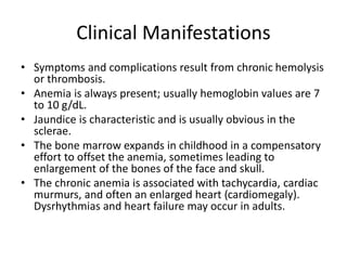 Clinical Manifestations
• Symptoms and complications result from chronic hemolysis
or thrombosis.
• Anemia is always present; usually hemoglobin values are 7
to 10 g/dL.
• Jaundice is characteristic and is usually obvious in the
sclerae.
• The bone marrow expands in childhood in a compensatory
effort to offset the anemia, sometimes leading to
enlargement of the bones of the face and skull.
• The chronic anemia is associated with tachycardia, cardiac
murmurs, and often an enlarged heart (cardiomegaly).
Dysrhythmias and heart failure may occur in adults.
 
