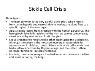 Sickle Cell Crisis
Three types
• The most common is the very painful sickle crisis, which results
from tissue hypoxia and necrosis due to inadequate blood ﬂow to a
speciﬁc region of tissue or organ.
• Aplastic crisis results from infection with the human parvovirus. The
hemoglobin level falls rapidly and the marrow cannot compensate,
as evidenced by an absence of reticulocytes.
• Sequestration crisis results when other organs pool the sickled cells.
Although the spleen is the most common organ responsible for
sequestration in children, most children with sickle cell anemia have
had a splenic infarction by 10 years of age, and the spleen is then
no longer functional (autosplenectomy).
• In adults, the common organs involved in sequestration are the liver
and, more seriously, the lungs.
 