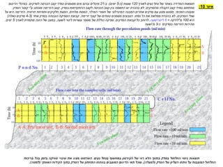 ‫איור‬
10
:
‫לאורך‬ ‫נעים‬ ‫נחל‬ ‫של‬ ‫באתר‬ ‫המדידה‬ ‫תוצאות‬
120
‫שעות‬
(
‫כ‬
-
5
‫ימים‬
.)
‫ב‬
-
21
‫לסדקים‬ ‫הכניסה‬ ‫קצב‬ ‫נמדד‬ ‫מסומנים‬ ‫מים‬ ‫ובהם‬ ‫מיכלים‬
.
‫הדיגום‬ ‫במיכלי‬
‫מהסדקים‬ ‫הקבלה‬ ‫קצב‬ ‫נמדד‬ ‫מתחתם‬
.
‫בסדק‬ ‫ההתקדמות‬ ‫לקצב‬ ‫הכניסה‬ ‫קצב‬ ‫בין‬ ‫התאמה‬ ‫יש‬ ‫בהכרח‬ ‫לא‬
.
‫ע‬ ‫מוכתב‬ ‫הזרימה‬ ‫קצב‬
"
‫הסדק‬ ‫קוטר‬ ‫י‬
‫הפנימי‬ ‫ומבנהו‬
,
‫המבנה‬ ‫אחרים‬ ‫סדקים‬ ‫עם‬ ‫ומגע‬ ‫מפגש‬
‫המינרלוגי‬
‫המילוי‬ ‫חומרי‬ ‫של‬
,
‫מלחים‬ ‫המסת‬
,
‫חרסית‬ ‫ותפיחת‬ ‫חלקיקים‬ ‫הסעת‬
.
‫על‬ ‫היא‬ ‫הזרימה‬
‫הסדקים‬ ‫שולי‬
,
‫נפחו‬ ‫כל‬ ‫את‬ ‫ממלאת‬ ‫בהכרח‬ ‫לא‬
.
‫זרימה‬ ‫קצבי‬ ‫של‬ ‫טווחים‬ ‫מסמנים‬ ‫הצבעים‬
.
‫אחד‬ ‫בסדק‬ ‫הגבוהה‬ ‫הספיקה‬ ‫קבוצת‬
(
4-3
‫כאלה‬ ‫סדקים‬
)
‫היא‬
100
‫מ‬
"
‫ל‬

‫דקה‬
=
6
‫ליטר‬

‫שעה‬
.
‫הסדקים‬ ‫קבוצת‬ ‫כל‬ ‫לרוחב‬
,
‫לשעה‬ ‫ליטר‬ ‫עשרות‬ ‫מספר‬ ‫של‬ ‫כוללת‬ ‫ספיקה‬
,
‫לאורך‬ ‫מתמדת‬ ‫הזנה‬ ‫של‬ ‫במצב‬
5
‫ימים‬
.
‫מהירות‬
‫הזרימה‬
‫בסדקים‬
‫כ‬
-
3
‫מ‬
'

‫שעה‬
 
