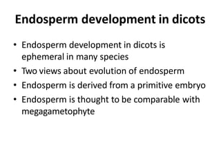 Endosperm development in dicots
• Endosperm development in dicots is
ephemeral in many species
• Two views about evolution of endosperm
• Endosperm is derived from a primitive embryo
• Endosperm is thought to be comparable with
megagametophyte