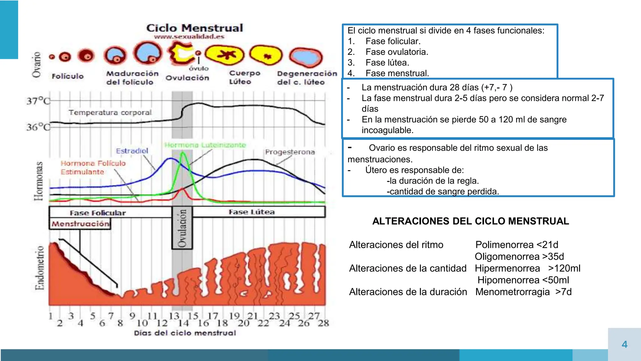 4 Alteraciones Del Ciclo Sexual Bifasico pptx 4-alteraciones-del-ciclo-sexual-bifasico-pptx