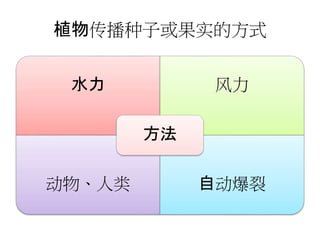 year 5 science KSSR Semakan Chapter 4.植物传播种子的方法.pptx