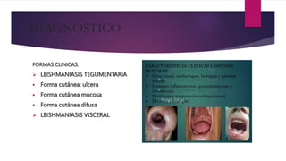 FORMAS CLINICAS:
 LEISHMANIASIS TEGUMENTARIA
 Forma cutánea: ulcera
 Forma cutánea mucosa
 Forma cutánea difusa
 LEISHMANIASIS VISCERAL
CARACTERISTICAS CLINICAS LESIONES
MUCOSAS:
 Zona: nasal, orofaríngea, laríngea y paladar
blando
 Lesiones inflamatorios, granulomatosas y
ulcerativas
 Mutilantes: amputación tabique nasal
 Disfonía y disfagia
 