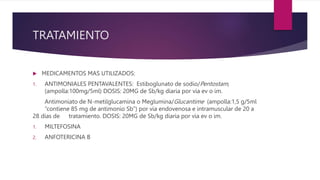 TRATAMIENTO
 MEDICAMENTOS MAS UTILIZADOS:
1. ANTIMONIALES PENTAVALENTES: Estiboglunato de sodio/Pentostam,
(ampolla:100mg/5ml) DOSIS: 20MG de Sb/kg diaria por via ev o im.
Antimoniato de N-metilglucamina o Meglumina/Glucantime (ampolla:1,5 g/5ml
“contiene 85 mg de antimonio Sb”) por via endovenosa e intramuscular de 20 a
28 días de tratamiento. DOSIS: 20MG de Sb/kg diaria por via ev o im.
1. MILTEFOSINA
2. ANFOTERICINA B
 