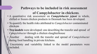 4. MICROBIOLOGICAL RISK ASSESSMENT ON FOODBORNE PATHOGENS (3rd semester ...