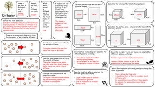 4.1.3-Transport-in-Cells worksheet.pptx