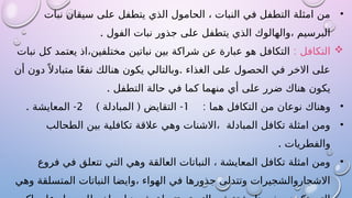 •
‫نبات‬ ‫سيقان‬ ‫على‬ ‫يتطفل‬ ‫الذي‬ ‫الحامول‬ ، ‫النبات‬ ‫في‬ ‫التطفل‬ ‫امثلة‬ ‫من‬
. ‫الفول‬ ‫نبات‬ ‫جذور‬ ‫على‬ ‫يتطفل‬ ‫الذي‬ ‫والهالوك‬، ‫البرسيم‬

: ‫التكافل‬
‫نبات‬ ‫كل‬ ‫يعتمد‬ ‫اذ‬،‫مختلفين‬ ‫نباتين‬ ‫بين‬ ‫شراكة‬ ‫عن‬ ‫عبارة‬ ‫هو‬ ‫التكافل‬
.
‫أن‬ ‫دون‬ً ‫متبادال‬ ‫ا‬ً‫ع‬‫نف‬ ‫هنالك‬ ‫يكون‬ ‫وبالتالي‬ ‫الغذاء‬ ‫على‬ ‫الحصول‬ ‫في‬ ‫االخر‬ ‫على‬
. ‫التطفل‬ ‫حالة‬ ‫في‬ ‫كما‬ ‫منهما‬ ‫أي‬ ‫على‬ ‫ضرر‬ ‫هناك‬ ‫يكون‬
•
: ‫هما‬ ‫التكافل‬ ‫من‬ ‫نوعان‬ ‫وهناك‬
1
) ( -
‫المبادلة‬ ‫التقايض‬
2
. -
‫المعايشة‬
•
‫الطحالب‬ ‫بين‬ ‫تكافلية‬ ‫عالقة‬ ‫وهي‬ ‫االشنات‬، ‫المبادلة‬ ‫تكافل‬ ‫امثلة‬ ‫ومن‬
. ‫والفطريات‬
•
‫فروع‬ ‫في‬ ‫تتعلق‬ ‫التي‬ ‫وهي‬ ‫العالقة‬ ‫النباتات‬ ، ‫المعايشة‬ ‫تكافل‬ ‫امثلة‬ ‫ومن‬
‫وهي‬ ‫المتسلقة‬ ‫النباتات‬ ‫وايضا‬، ‫الهواء‬ ‫في‬ ‫جذورها‬ ‫وتتدلى‬ ‫االشجاروالشجيرات‬
 