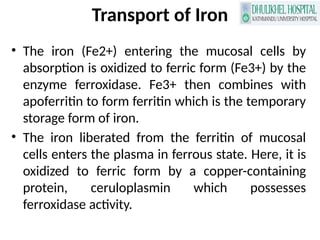 Iron Metabolism for Laboratory medicine and nursing.pptx