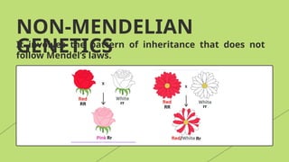 NON-MENDELIAN
GENETICS
It involves the pattern of inheritance that does not
follow Mendel’s laws.
 