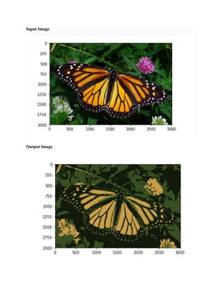 Input Image
Output Image
 