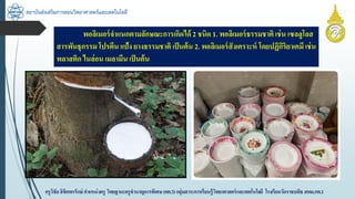 สถาบันส่งเสริมการสอนวิทยาศาสตร์และเทคโนโลยี
ครูวิชัยลิขิตพรรักษ์ ตำแหน่งครู วิทยฐำนะครูชำนำญกำรพิเศษ(คศ.3)กลุ่มสำระกำรเรียนรู้วิทยำศำสตร์และเทคโนโลยี โรงเรียนวัดรำชบพิธ สพม.กท.1
พอลิเมอร์จำแนกตำมลักษณะกำรเกิดได้ 2 ชนิด 1. พอลิเมอร์ธรรมชำติ เช่น เซลลูโลส
สำรพันธุกรรม โปรตีน แป้ง ยำงธรรมชำติ เป็นต้น 2. พอลิเมอร์สังเครำะห์ โดยปฏิกิริยำเคมี เช่น
พลำสติก ไนล่อน เมลำมีน เป็นต้น
 