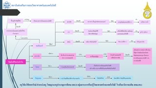 สถาบันส่งเสริมการสอนวิทยาศาสตร์และเทคโนโลยี
ครูวิชัยลิขิตพรรักษ์ ตำแหน่งครู วิทยฐำนะครูชำนำญกำรพิเศษ(คศ.3)กลุ่มสำระกำรเรียนรู้วิทยำศำสตร์และเทคโนโลยี โรงเรียนวัดรำชบพิธ สพม.กท.1
ได้แก่
มีสมบัติ
ได้แก่
มีสมบัติ
ขึ้นอยู่กับวัสดุตั้งต้น
พอลิเมอร์
สารประกอบโมเลกุลขนาดเล็กซ้้ากัน
จ้านวนมาก
ประกอบด้วย
ใช้ท้า
ใช้ท้า
มีสมบัติ
ส่วนใหญ่
เป็นฉนวนความร้อนและฉนวนไฟฟ้า
ยาง
มีสมบัติ
เส้นใย เหนียว ดึงเป็นเส้นได้
หลากหลาย ขึ้นอยู่กับชนิดของมอนอเมอร์
พลาสติก
ใช้ท้า สิ่งทอ ของใช้ต่าง ๆ
บรรจุภัณฑ์และของใช้ต่าง ๆ
เครื่องใช้ที่ต้องใช้ความยืดหยุ่น
และทนต่อแรงดึงได้ดี
วัสดุในชีวิตประจาวัน
เซรามิก
น้าไป
ผลิตจาก
ดิน หิน ทราย และแร่ธาตุ
ต่าง ๆ จากธรรมชาติ
เผาที่อุณหภูมิสูง
แข็งแต่เปราะทนต่อการสึกกร่อน
ได้สูงกว่าพอลิเมอร์และโลหะ
มีจุดหลอมเหลวสูง เป็นฉนวน
ความร้อนและฉนวนไฟฟ้า ทน
ความร้อนได้ดี
มีสมบัติ
ท้าให้ โครงสร้างและสมบัติ
เปลี่ยนไปจากเดิม
การถลุงสินแร่ในธรรมชาติ
ได้จาก
โลหะ
เป็นตัวน้าความร้อนและตัวน้าไฟฟ้า
แข็ง เหนียว สามารถตีให้เป็นแผ่นหรือยืดเป็นเส้นได้
มีสมบัติ
ได้จาก ท้าให้
วัสดุผสม การน้าวัสดุที่มีสมบัติต่างกันมาผสมกัน มีสมบัติดีกว่าวัสดุตั้งต้นแต่ละชนิด
วัสดุชนิดใหม่
ได้เป็น
ทนต่อแรงดึงดูดได้ดี
มีสภาพยืดหยุ่นสูง
ลูกโป่ง ถุงมือยาง
เช่น
เช่น
ถุงใส่ของ ขวดน้า
เครื่องนุ่งห่ม เชือก
เช่น
 