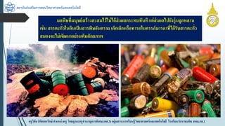 สถาบันส่งเสริมการสอนวิทยาศาสตร์และเทคโนโลยี
ครูวิชัยลิขิตพรรักษ์ ตำแหน่งครู วิทยฐำนะครูชำนำญกำรพิเศษ(คศ.3)กลุ่มสำระกำรเรียนรู้วิทยำศำสตร์และเทคโนโลยี โรงเรียนวัดรำชบพิธ สพม.กท.1
มลพิษที่มนุษย์สร้ำงสะสมไว้ไม่ได้ส่งผลกระทบทันทีแต่ส่งผลไปยังรุ่นลูกหลำน
เช่น สำรตะกั่วในดินเป็นสำรพิษอันตรำย เด็กเล็กหรือทำรกในครรภ์มำรดำที่ได้รับสำรตะกั่ว
สมองจะไม่พัฒนำอย่ำงเต็มศักยภำพ
 