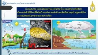 สถาบันส่งเสริมการสอนวิทยาศาสตร์และเทคโนโลยี
ครูวิชัยลิขิตพรรักษ์ ตำแหน่งครู วิทยฐำนะครูชำนำญกำรพิเศษ(คศ.3)กลุ่มสำระกำรเรียนรู้วิทยำศำสตร์และเทคโนโลยี โรงเรียนวัดรำชบพิธ สพม.กท.1
กำรเกิดฝนกรด โดยก๊ำซซัลเฟอร์ไดออกไซด์กับน้ำจะกลำยเป็นกรดซัลฟิวริก
อันตรำยต่อสิ่งมีชีวิต แม้สิ่งก่อสร้ำงเองก็กระทบเช่นกัน มลพิษเป็นสำเหตุปรำกฏกำรณ์เรือน
กระจกปกคลุมชั้นบรรยำกำศสะสมควำมร้อน
 