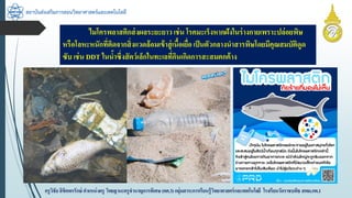 สถาบันส่งเสริมการสอนวิทยาศาสตร์และเทคโนโลยี
ครูวิชัยลิขิตพรรักษ์ ตำแหน่งครู วิทยฐำนะครูชำนำญกำรพิเศษ(คศ.3)กลุ่มสำระกำรเรียนรู้วิทยำศำสตร์และเทคโนโลยี โรงเรียนวัดรำชบพิธ สพม.กท.1
ไมโครพลำสติกส่งผลระยะยำวเช่น โรคมะเร็งหำกฝังในร่ำงกำยเพรำะปล่อยพิษ
หรือโลหะหนักที่ติดจำกสิ่งแวดล้อมเข้ำสู่เนื้อเยื่อเป็นตัวกลำงนำสำรพิษโดยมีคุณสมบัติดูด
ซับ เช่น DDT ในน้ำซึ่งสัตว์เล็กในทะเลที่กินเกิดกำรสะสมตกค้ำง
 