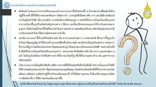 สถาบันส่งเสริมการสอนวิทยาศาสตร์และเทคโนโลยี
ครูวิชัยลิขิตพรรักษ์ ตำแหน่งครู วิทยฐำนะครูชำนำญกำรพิเศษ(คศ.3)กลุ่มสำระกำรเรียนรู้วิทยำศำสตร์และเทคโนโลยี โรงเรียนวัดรำชบพิธ สพม.กท.1
 