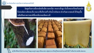 สถาบันส่งเสริมการสอนวิทยาศาสตร์และเทคโนโลยี
ครูวิชัยลิขิตพรรักษ์ ตำแหน่งครู วิทยฐำนะครูชำนำญกำรพิเศษ(คศ.3)กลุ่มสำระกำรเรียนรู้วิทยำศำสตร์และเทคโนโลยี โรงเรียนวัดรำชบพิธ สพม.กท.1
วัสดุเสริมแรงเป็นเหล็กเส้นมีควำมเหนียว ทนแรงดึงสูง ดังนั้นคอนกรีตเสริมเหล็ก
จึงทนต่อแรงอัดและดึง เหมำะเป็นโครงสร้ำงรับน้ำหนักมำก สำหรับยำงรถยนต์ มีวัสดุเนื้อ
หลักเป็นยำงธรรมชำติซึ่งเหนียวและยึดเกำะดี
 