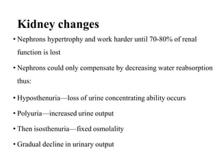 4. Renal failure for nursing student imporatance.pdf
