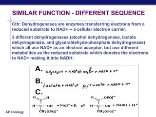 Cth Rth Structure Function materi tentang protein yang diberikan saat perkuliahan | PPT