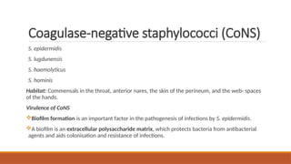 4.Systematicbacteriology(A