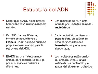 Estructura del ADN
 Saber que el ADN es el material
hereditario llevó muchos años de
estudio.
 En 1953, James Watson,
biólogo estadounidense y
Francis Crick, biofísico británico,
propusieron un modelo para la
estructura del ADN.
 El ADN es una molécula muy
grande pero compuesta solo de
pocas sustancias químicas
diferentes.
 Una molécula de ADN esta
formada por unidades llamadas
nucleótidos.
 Cada nucleótido contiene un
grupo fosfato, un azúcar de
cinco carbonos llamada
desoxirribosa y una base
nitrogenada.
 Los nucleótidos están unidos
por enlaces entre el grupo
fosfato de un nucleótido y el
azúcar del siguiente nucleótido.
 