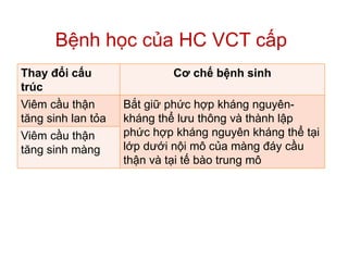 Bệnh học của HC VCT cấp
1-
Thay đổi cấu
trúc
Cơ chế bệnh sinh
Viêm cầu thận
tăng sinh lan tỏa
Bắt giữ phức hợp kháng nguyên-
kháng thể lưu thông và thành lập
phức hợp kháng nguyên kháng thể tại
lớp dưới nội mô của màng đáy cầu
thận và tại tế bào trung mô
Viêm cầu thận
tăng sinh màng
 