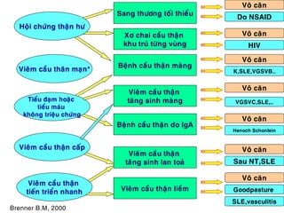 Vieâm caàu thaân maïn*
Hoäi chöùng thaän hö
Tieåu ñaïm hoaëc
tieåu maùu
khoâng trieäu chöùng
Vieâm caàu thaän caáp
Vieâm caàu thaän
tieán trieån nhanh
Sang thöông toái thieåu
Xô chai caàu thaän
khu truù töøng vuøng
Beänh caàu thaän maøng
Beänh caàu thaän do IgA
Vieâm caàu thaän
taêng sinh lan toaû
Vieâm caàu thaän lieàm
Vieâm caàu thaän
taêng sinh maøng
Do NSAID
HIV
Voâ caên
Voâ caên
K,SLE,VGSVB…
Voâ caên
VGSVC,SLE,…
Voâ caên
Henoch Schonlein
Voâ caên
Sau NT,SLE
Voâ caên
Goodpasture
Voâ caên
SLE,vasculitis
Brenner B.M, 2000
 