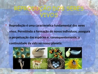 REPRODUÇÃO DOS SERES
VIVOS
• Reprodução é uma característica fundamental dos seres
vivos. Permitindo a formação de novos indivíduos, assegura
a perpetuação das espécies e, consequentemente, a
continuidade da vida no nosso planeta.
 
