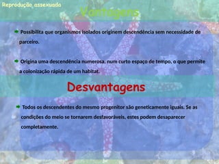 Vantagens
 Possibilita que organismos isolados originem descendência sem necessidade de
parceiro.
 Origina uma descendência numerosa, num curto espaço de tempo, o que permite
a colonização rápida de um habitat.
Desvantagens
 Todos os descendentes do mesmo progenitor são geneticamente iguais. Se as
condições do meio se tornarem desfavoráveis, estes podem desaparecer
completamente.
Reprodução assexuada
 