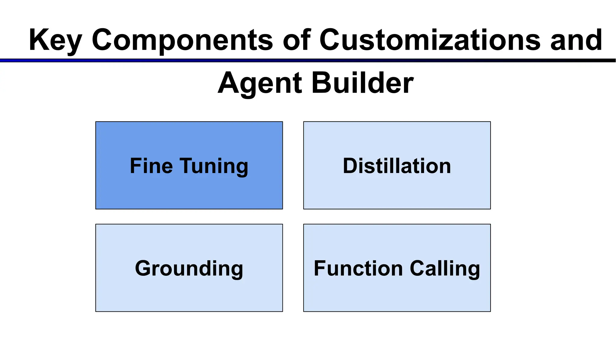 Key Components of Customizations and
Agent Builder
Fine Tuning Distillation
Grounding Function Calling
 